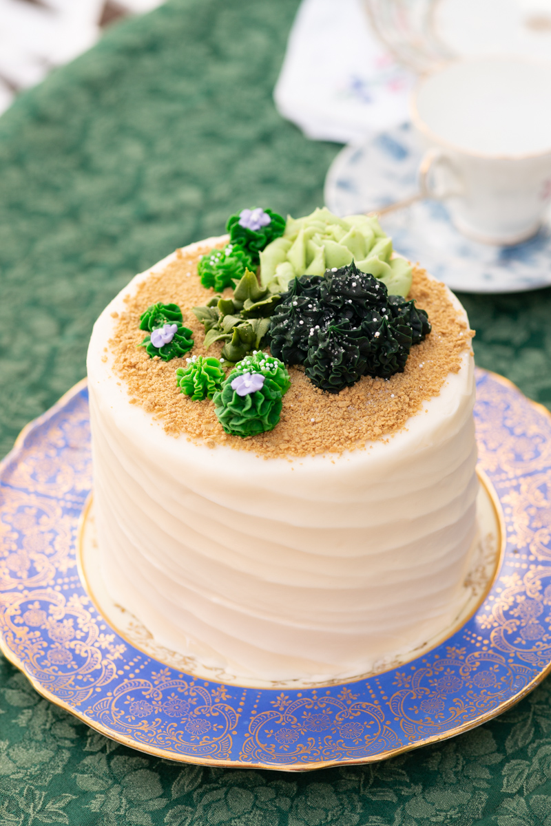 A cake with succulents made of frosting on top sits on a blue and gold plate during an outdoor photo session in the PNW