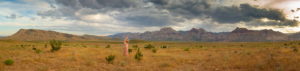 A woman poses with her hands above her head in a field in the PNW