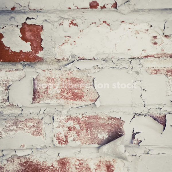 Abstract Background Stock Photo: Brick Wall with Peeling Paint - Body Liberation Photos