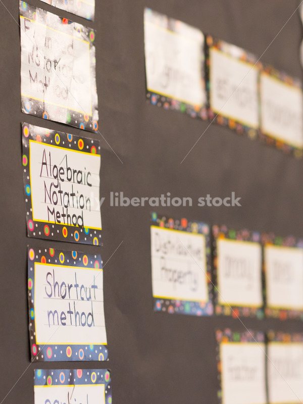 Education Stock Photo: Math-Related Signs on Bulletin Board - Body Liberation Photos