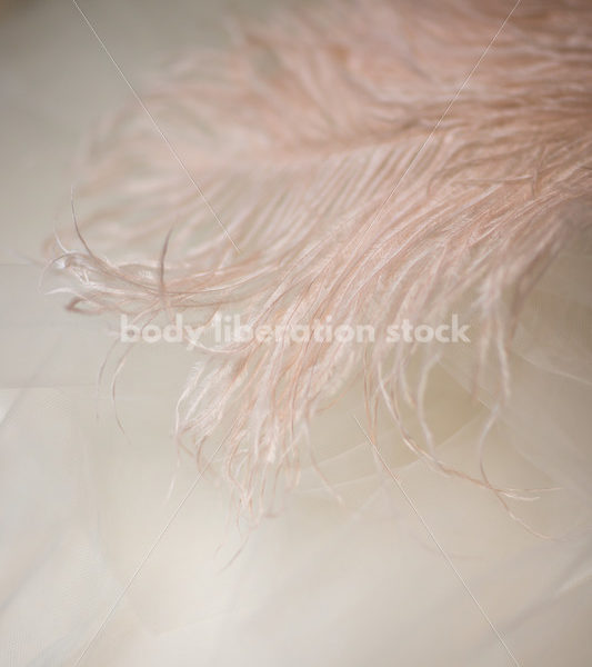 Romance Stock Photo: Soft Pink Ostrich Feather - Body Liberation Photos