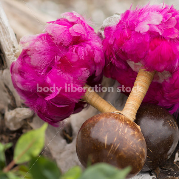 Stock Photo: Joyful Movement Traditional Hula Dance Accessories ‘Uli’uli - Body Liberation Photos