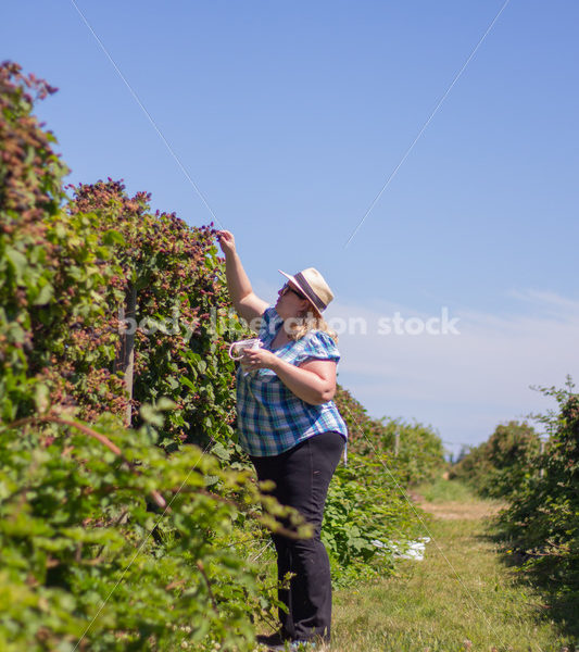 Agriculture Stock Image: Fat Woman Picking Berries - Body Liberation Photos