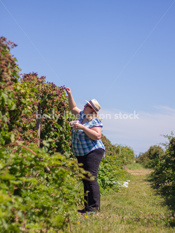 Agriculture Stock Image: Fat Woman Picking Berries - Body Liberation Photos