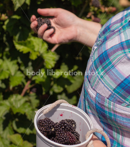 Agriculture Stock Image: Fat Woman Picking Berries - Body Liberation Photos