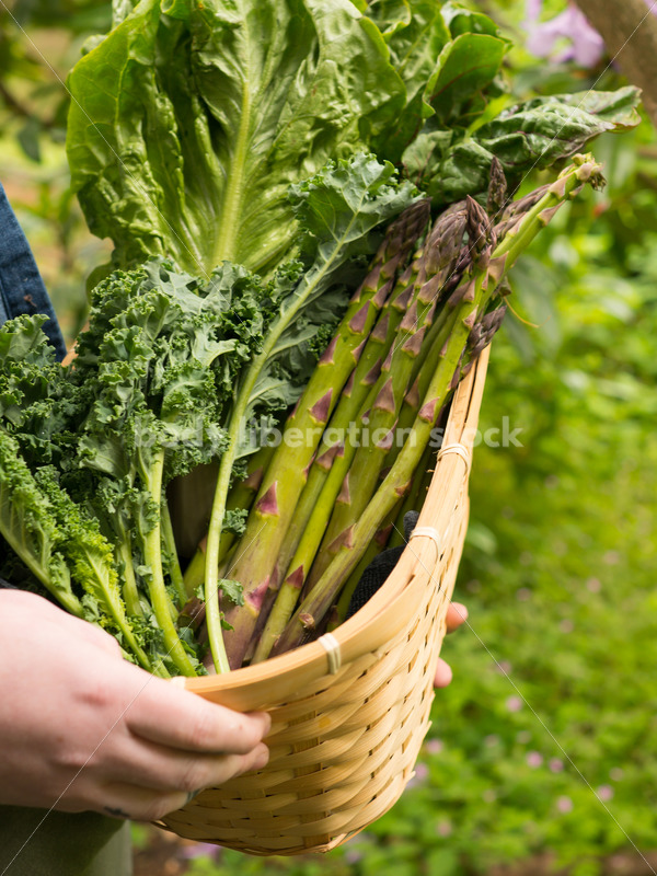 Diverse Gardening Stock Photo: Agender Person Holds Basket of Fresh Produce - Body Liberation Photos
