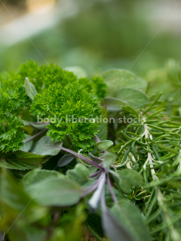 Gardening herbs - Body Liberation Photos