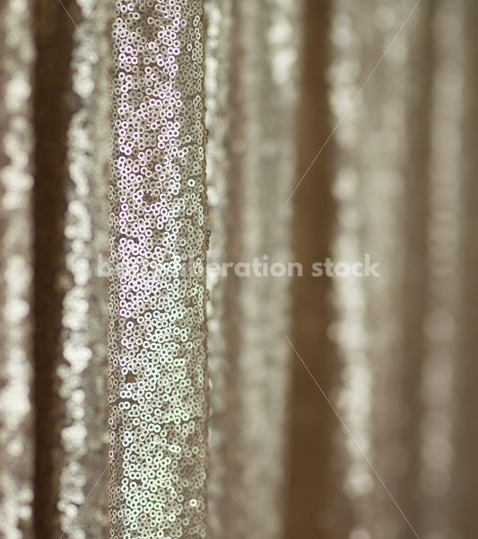 Glitter Sequin Background with Room for Text - Body Liberation Photos