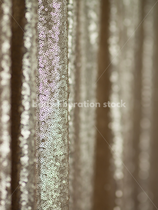 Glitter Sequin Background with Room for Text - Body Liberation Photos