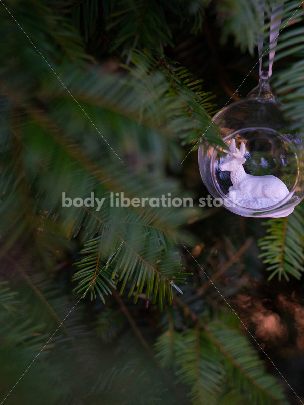 Holiday Stock Image: Christmas Tree Ornament - Body Liberation Photos