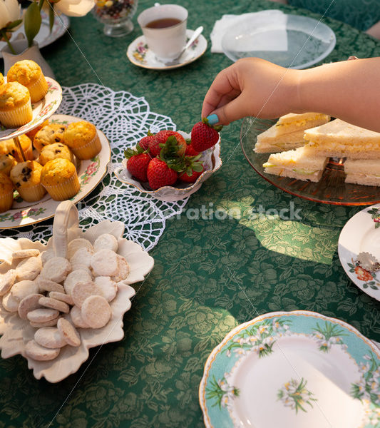 Plus-Size Women Eat, Drink, and Talk at Outdoor Summer Tea Party - Body Liberation Photos