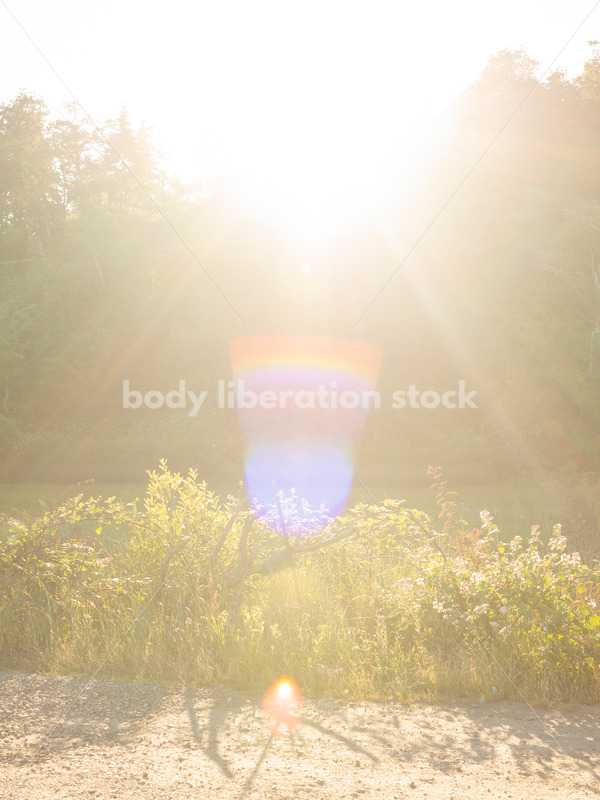 Rural Road and Meadow at Golden Hour - Body Liberation Photos