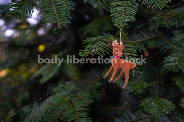 Holiday Stock Image: Christmas Tree Ornament - Body Liberation Photos