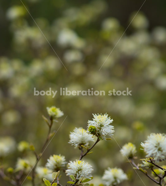 Stock Photo: Spring Garden - Body Liberation Photos