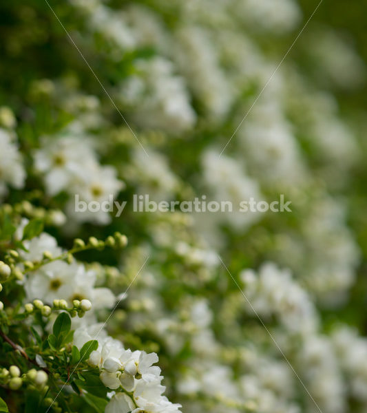 Stock Photo: Spring Garden - Body Liberation Photos