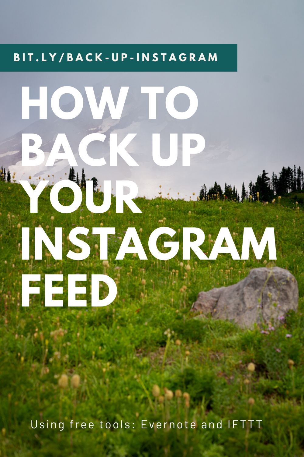 Bold white text says, "How to back up your Instagram feed" on top of a photo of a snow-capped mountain and field full of wildflowers.