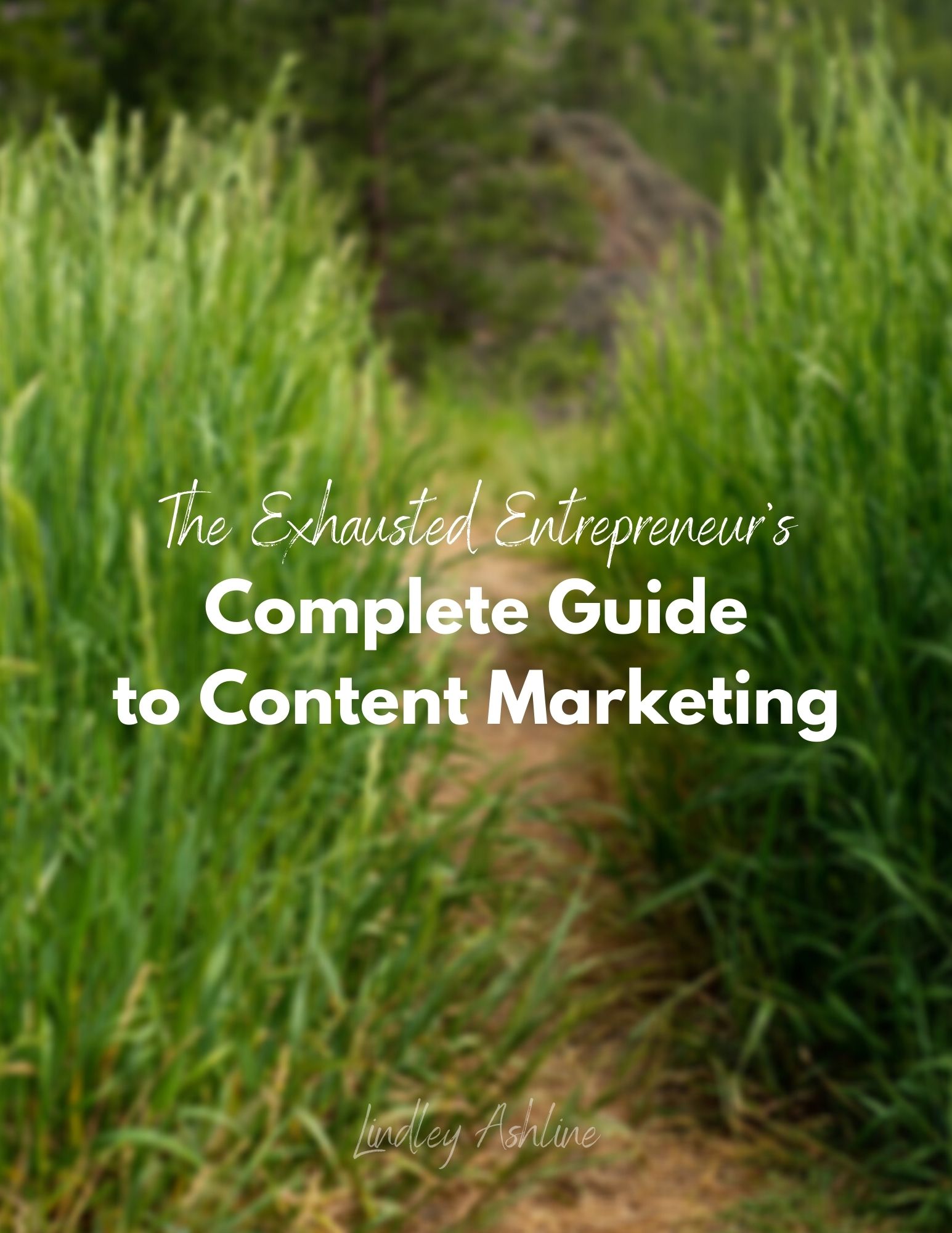 The Exhausted Entrepreneur's Complete Marketing Toolkit