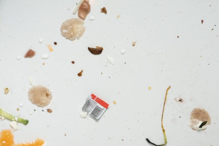 Image description: Small, messy bits of kitchen waste on a white background: orange, cucumber, onion, bread or cracker, a piece of packaging. Photo courtesy of Charlie Deets on Unsplash.