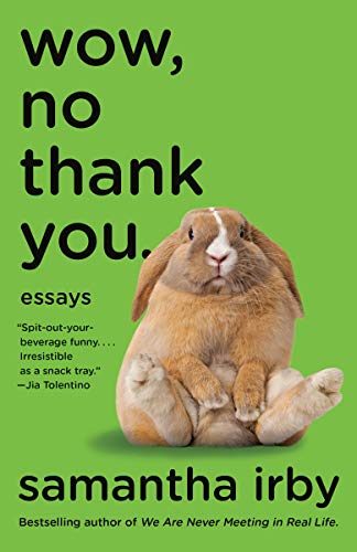 Image description: A sad looking rabbit sits with its back paws splayed out in front of it on a green background; black text reads "Wow, No Thank You.: Essays"