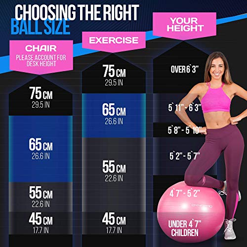 Gym Grade Exercise Balls Exercise Ball Extra Thick Eco-Friendly