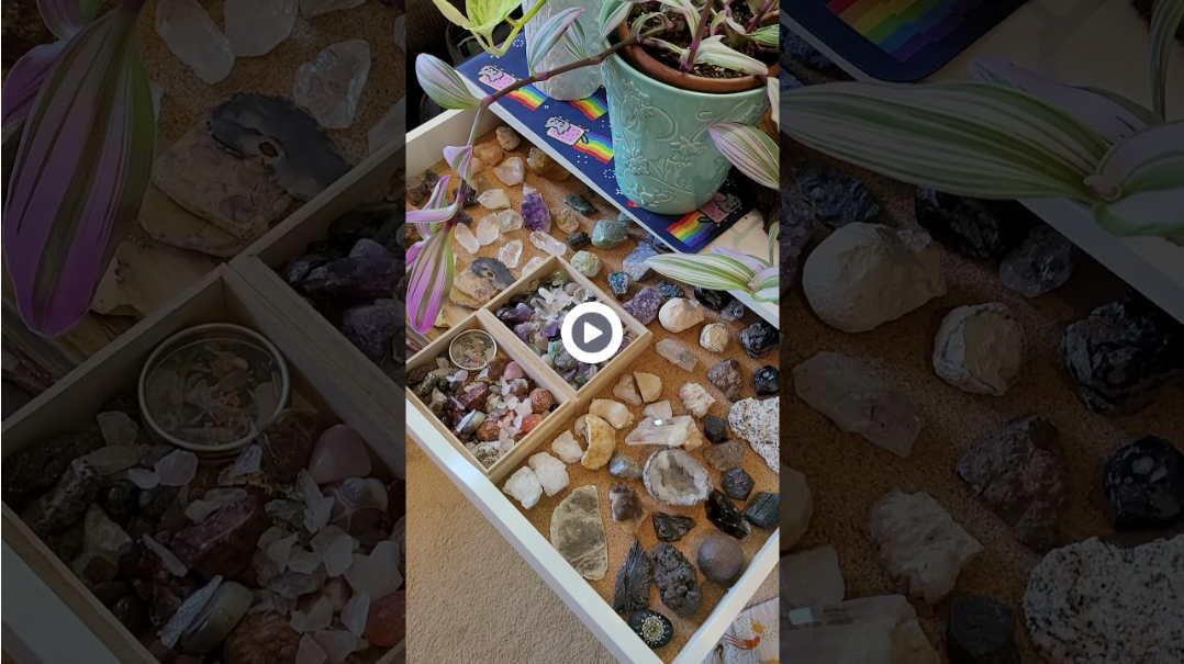 A still frame from Lindley's photography studio office tour, showing plants and a drawer full of rocks and gemstones.