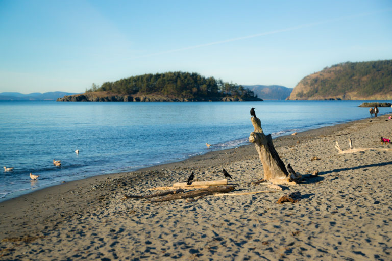 {wandering} Low tide at Deception Pass, WA