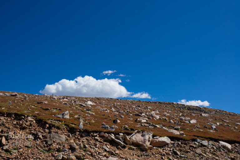 {wandering} Beartooth Highway, MT/WY, September 2019