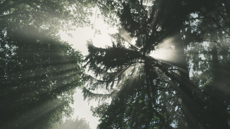 {wandering} Murdock Beach, WA, July 2020