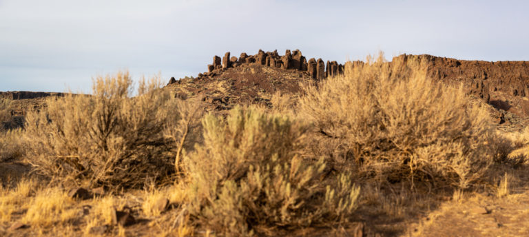 {wandering} Frenchman Coulee, Vantage, WA, August 2020