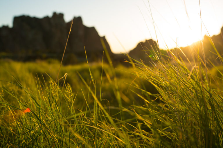 {wandering} Smith Rock, OR, May 2019