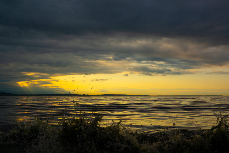 {wandering} Alki Beach, Seattle, WA, July 2019