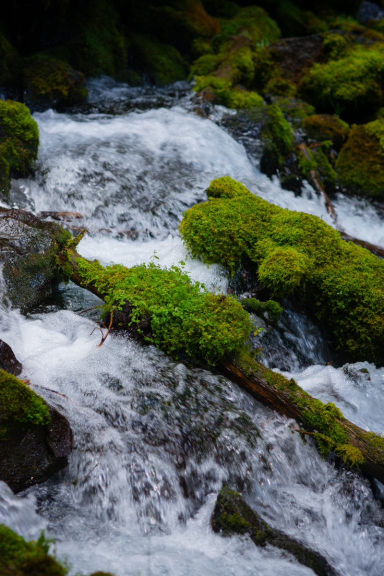 {wandering} Clearwater Falls, OR, September 2019