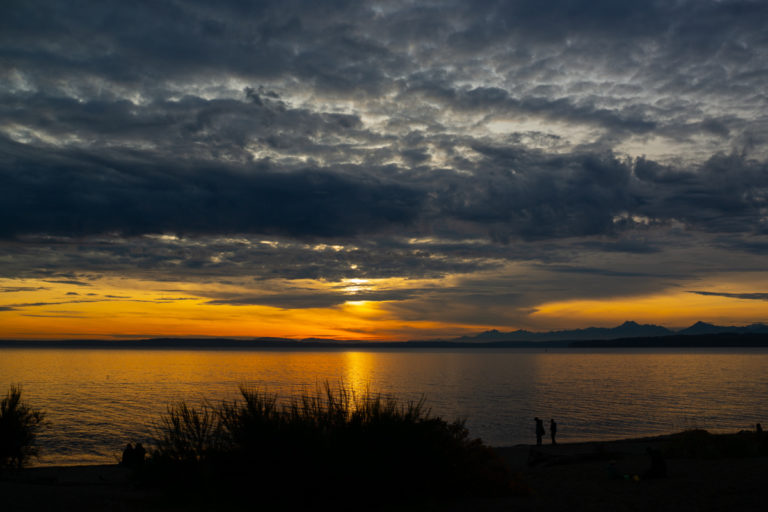 {wandering} Richmond Beach, Seattle, WA, November 2019