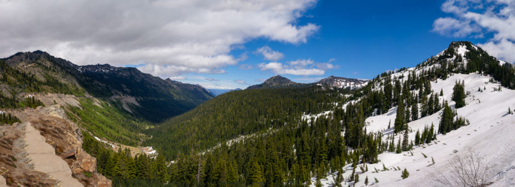{wandering} Mount Rainier National Park, WA, June 2020