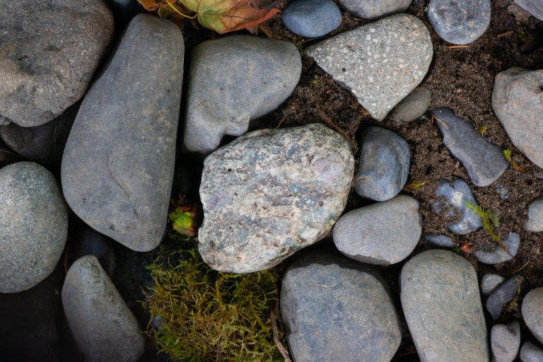 {wandering} Kanaskat-Palmer State Park, WA, July 2020