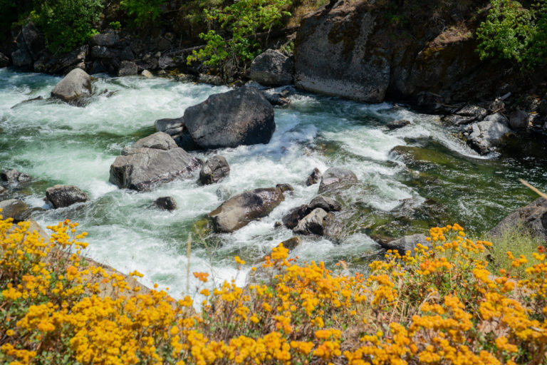 {wandering} Icicle Creek, WA, July 2020