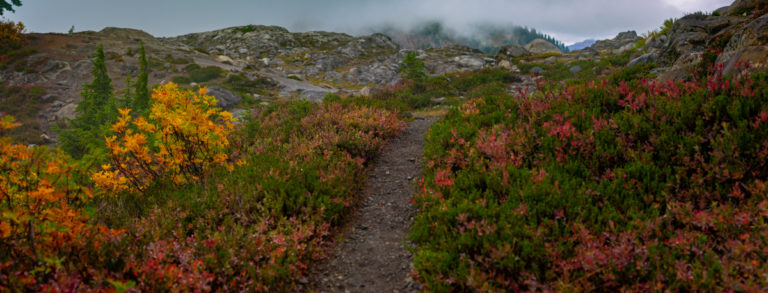 {wandering} Mount Baker, WA, October 2020