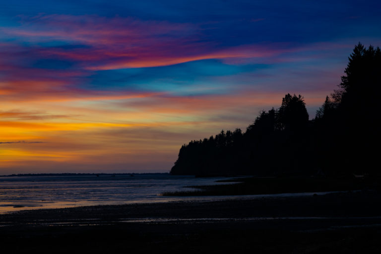 {wandering} Ocean Shores, WA, November 2020