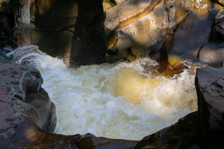 {wandering} Marckworth Falls, WA, April 2021