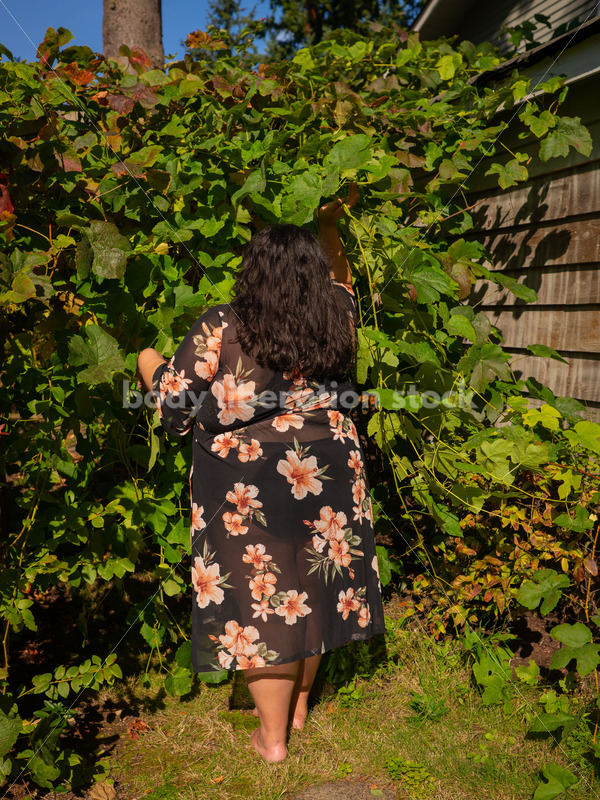 Size-Diverse Stock Photo: Woman Partially Hidden in Vines - Body liberation boudoir, portraits, stock, HAES & more | Seattle