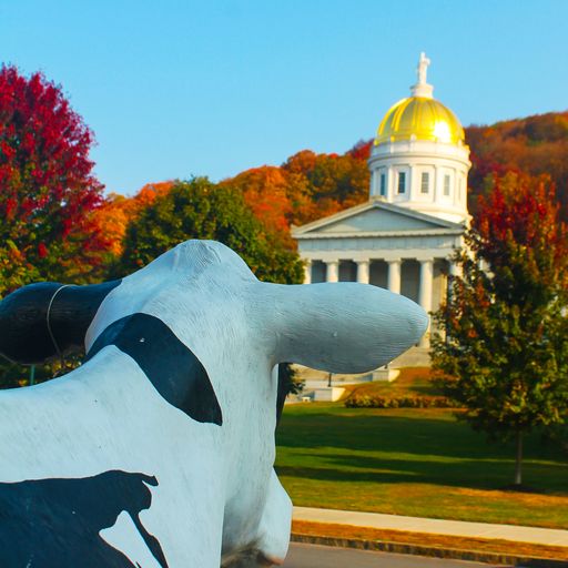 A cow statue in the foreground seems to look at a Greek style building in the background set against a clear sky