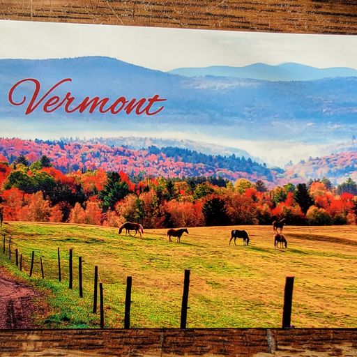 A postcard showing horses out to pasture and colorful trees in Autumn; the text reads "Vermont" 