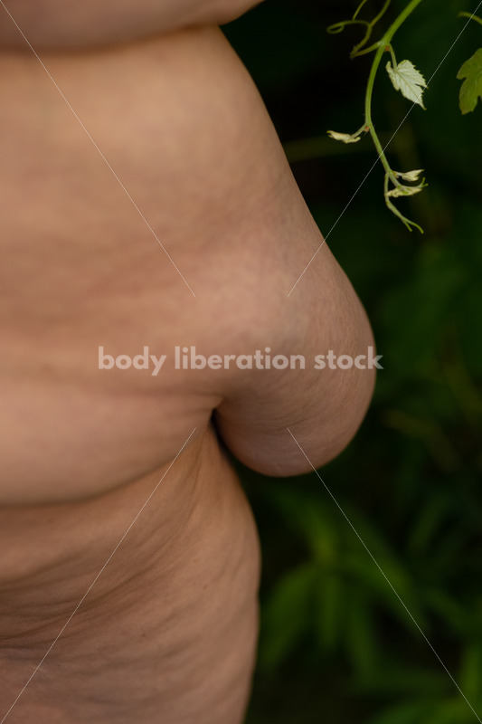 Health at Every Size Stock Photo: Fat Body Close-up - It's time you were seen ⟡ Body Liberation Photos