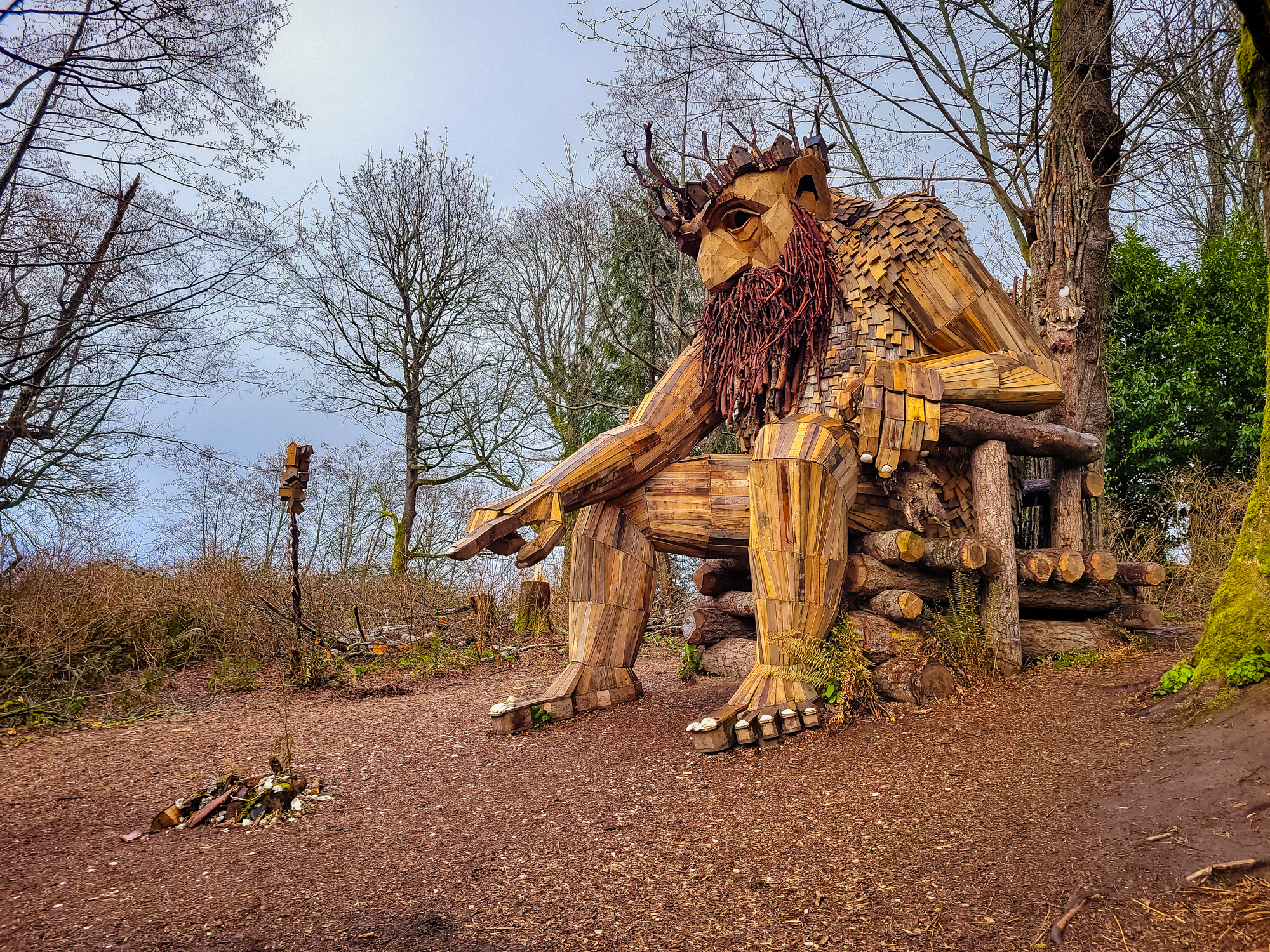 {wandering} Oscar the Bird King & Point Robinson, Vashon Island, WA, March 2024