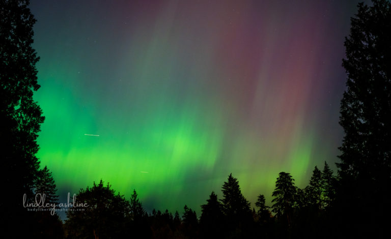 {wandering} Aurora borealis in Seattle